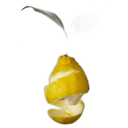Lemon Zest